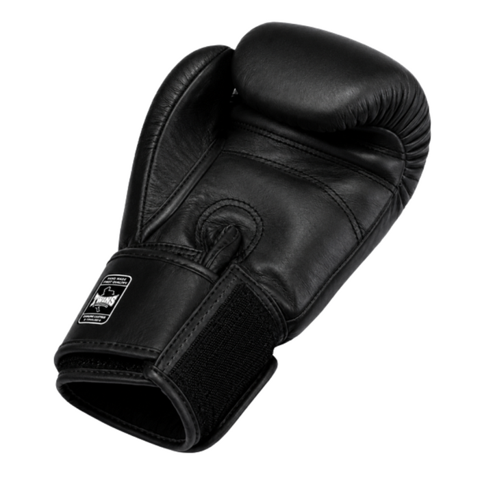 Twins BGN V2 Boxing Gloves - Black
