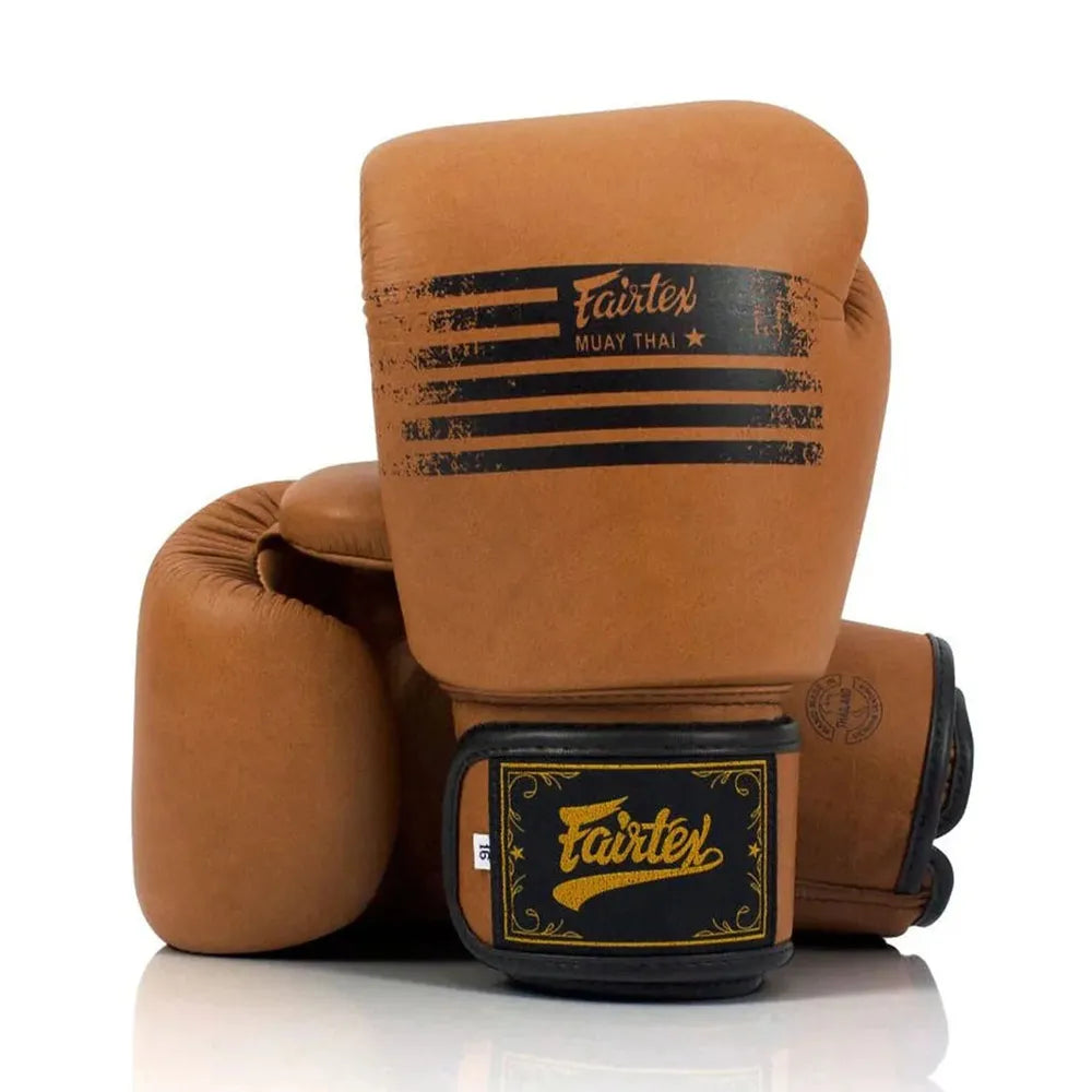 Fairtex BGV21 Legacy Boxing Gloves-Fairtex